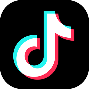 Icône tiktok